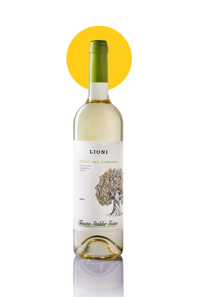 LIONI 2023 - Colli del Limbara IGT